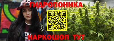 спайс Кулебаки