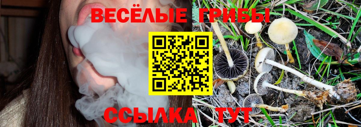Псилоцибиновые грибы мухоморы  Галлюциногенные грибы Magic Shrooms  Вход с VPN  Дербент 